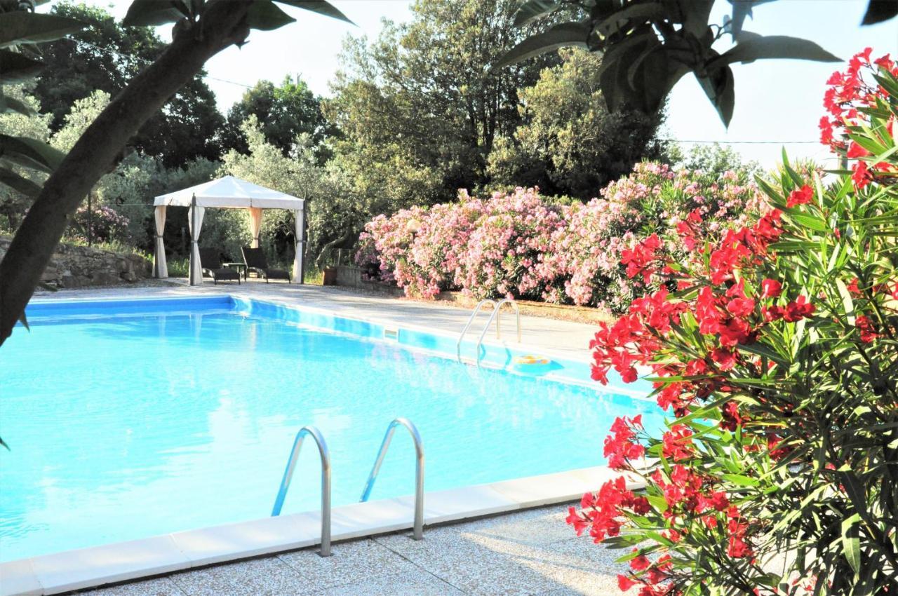 Agriturismo Pereti Roccatederighi Екстер'єр фото