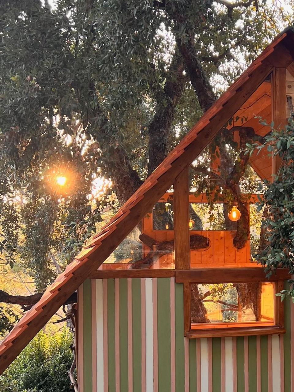 Agriturismo Pereti Roccatederighi Екстер'єр фото