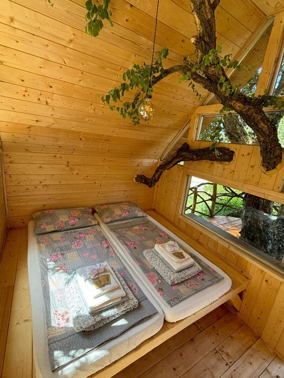 Agriturismo Pereti Roccatederighi Екстер'єр фото