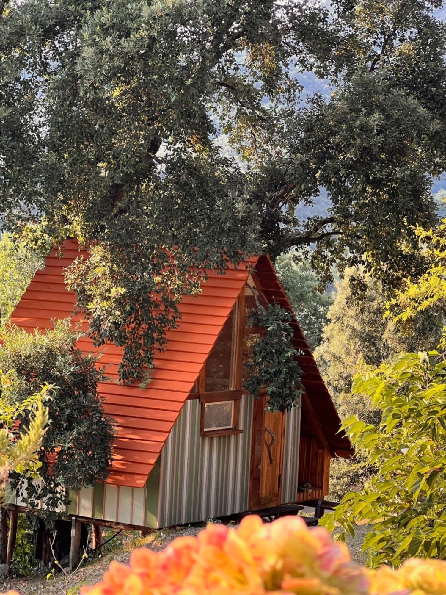 Agriturismo Pereti Roccatederighi Екстер'єр фото