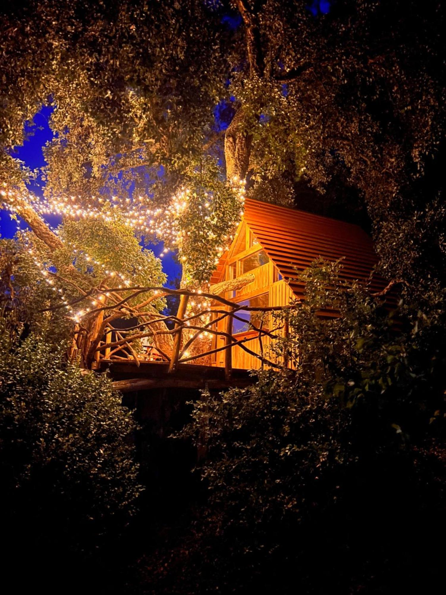 Agriturismo Pereti Roccatederighi Екстер'єр фото