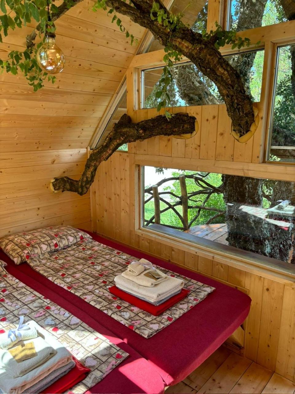 Agriturismo Pereti Roccatederighi Номер фото
