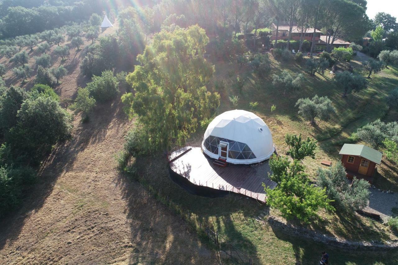 Agriturismo Pereti Roccatederighi Екстер'єр фото