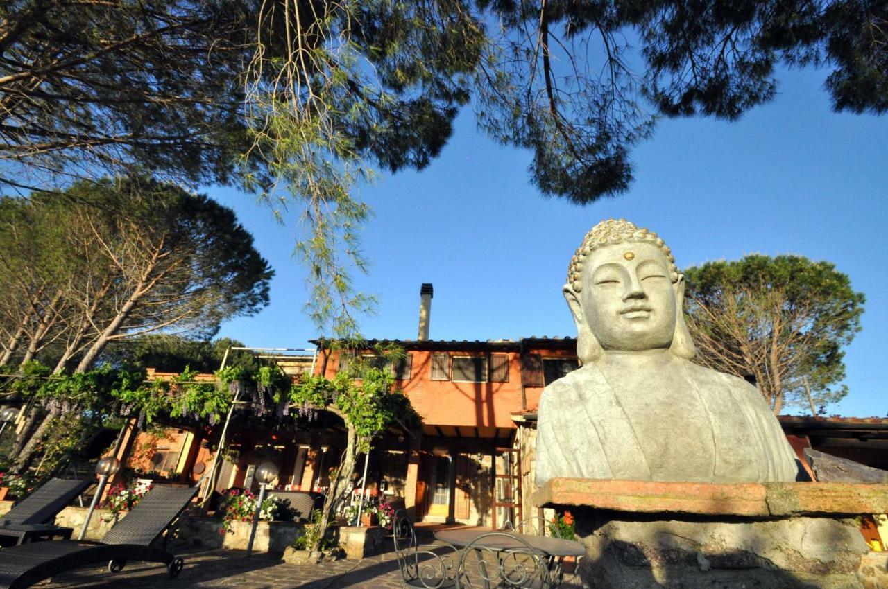 Agriturismo Pereti Roccatederighi Екстер'єр фото